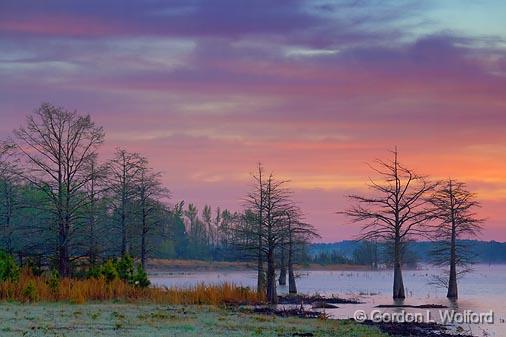 Grenada Lake Sunrise_47040-1.jpg - Photographed near Grenada, Mississippi, USA.